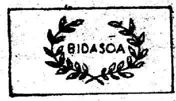 Imagen de BIDASOA