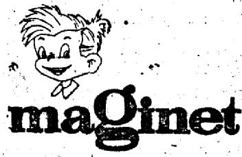 Imagen de MAGINET