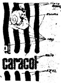 Imagen de CARACOL