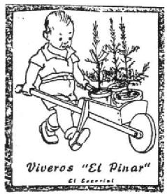 Imagen de VIVEROS 