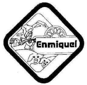 Imagen de ENMIQUEL