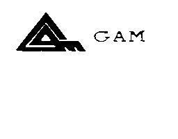 Imagen de GAM