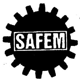 Imagen de SAFEM
