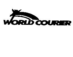 Imagen de WORLD COURIER