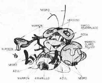 Imagen de M1078924