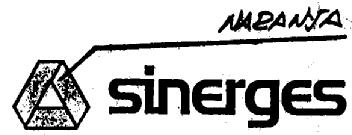 Imagen de SINERGES
