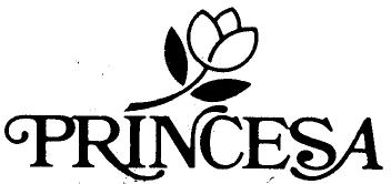 Imagen de PRINCESA
