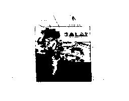 Imagen de SALAS