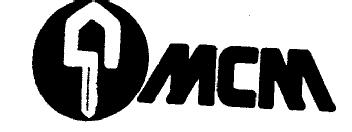 Imagen de MCM