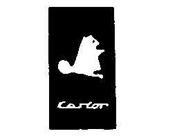 Imagen de CASTOR