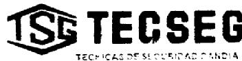 Imagen de TSG TECSEG TECNICAS DE SEGURIDAD GANDIA