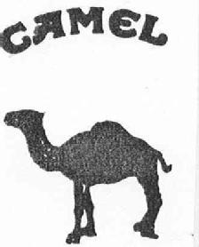 Imagen de CAMEL