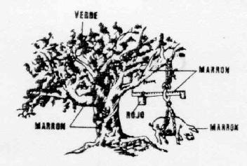Imagen de M1039014