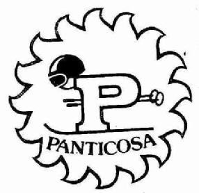 Imagen de P PANTICOSA