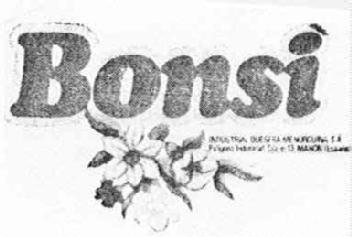 Imagen de BONSI