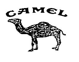 Imagen de CAMEL