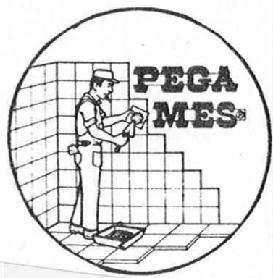 Imagen de PEGA MES