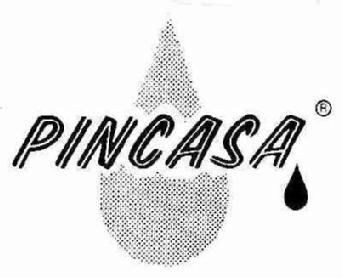 Imagen de PINCASA