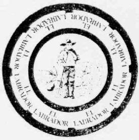 Imagen de EL LABRADOR