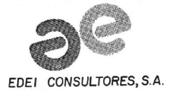 Imagen de E EDEI CONSULTORES, S.A