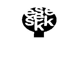 Imagen de SEK