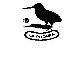 Imagen de LA PITORRA