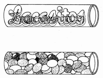 Imagen de LACASITOS