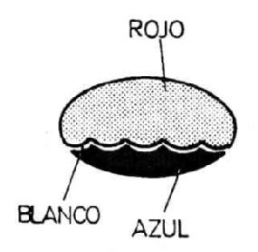 Imagen de M1153977