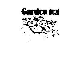 Imagen de GARDEN TEX