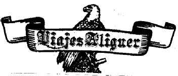 Imagen de VIAJES ALIGUER