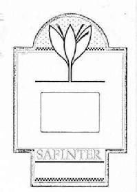 Imagen de SAFINTER