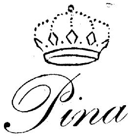 Imagen de PINA