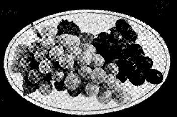 Imagen de R.E. 2753-V VINO DE MESA, COOPERATIVA VILLAR LAS VILLAS