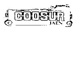 Imagen de COOSUR JAEN LA GARANTIA