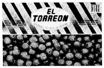 Imagen de EL TORREON