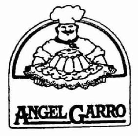 Imagen de ANGEL GARRO