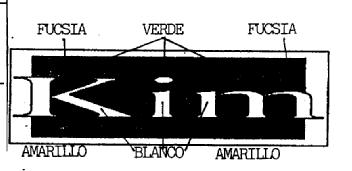 Imagen de KIM