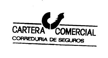 Imagen de CARTERA CS COMERCIAL CORREDURIA DE SEGUROS