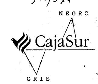 Imagen de CAJASUR