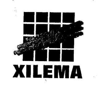 Imagen de XILEMA