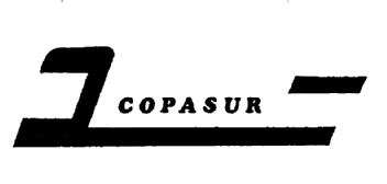 Imagen de COPASUR