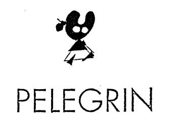 Imagen de PELEGRIN