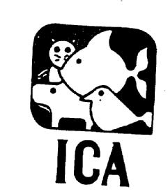 Imagen de ICA