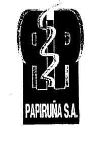 Imagen de P PAPIRUÑA S.A
