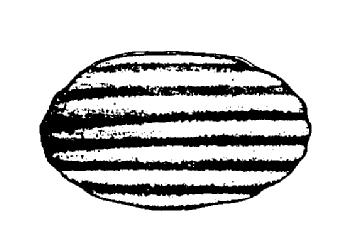 Imagen de M1733510