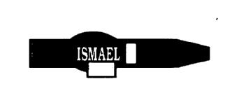 Imagen de ISMAEL