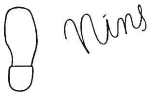 Imagen de NINS