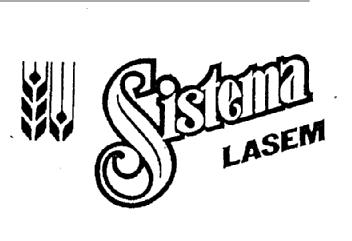 Imagen de SISTEMA LASEM