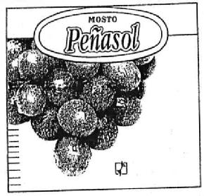Imagen de MOSTO PEÑASOL