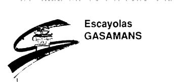Imagen de ESCAYOLAS GASAMANS